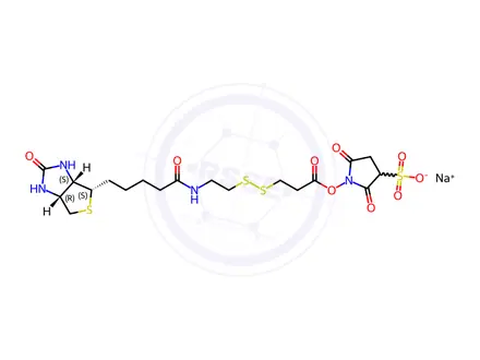 Chemical structure of Sulfosuccinimidyl 3-[[2-(Biotinamido)ethyl] dithio]propionate Sodium Salt