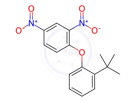 Chemical structure of 2,4-Dinitrophenyl 2-tert-butylphenyl ether