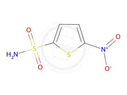 Chemical structure of 5-nitrothiophene-2-sulfonamide