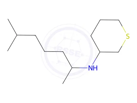 Chemical structure of N-(6-methylheptan-2-yl)tetrahydro-2H-thiopyran-3-amine