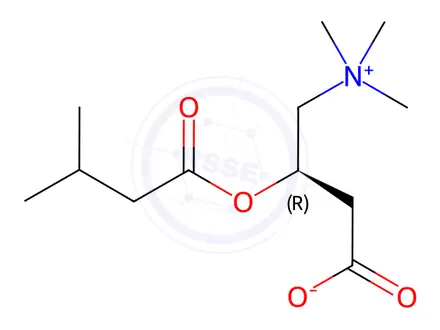 Chemical structure of Isovalerylcarnitine