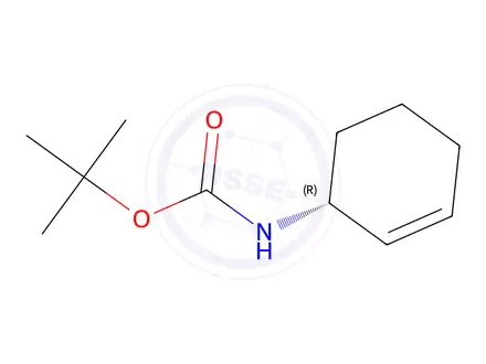 Chemical structure of Carbamic acid, (1R)-2-cyclohexen-1-yl-, 1,1-dimethylethyl ester (9CI)