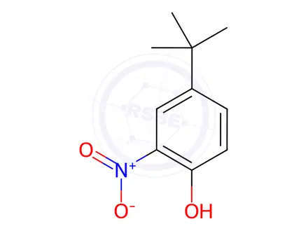 Chemical structure of 4-tert-Butyl-2-nitrophenol