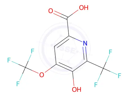 Chemical structure of 5-hydroxy-4-(trifluoromethoxy)-6-(trifluoromethyl)picolinic acid