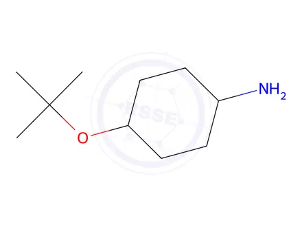 Chemical structure of trans-4-(tert-Butoxy)cyclohexanamine