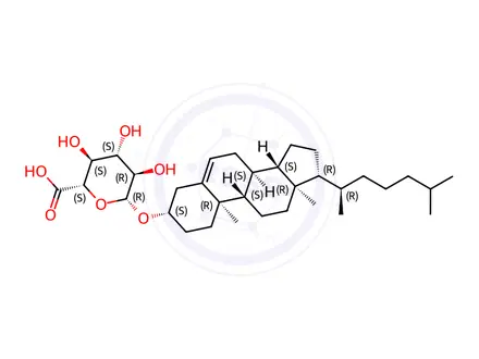 Chemical structure of cholesterol glucuronide