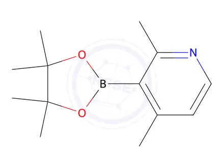 Chemical structure of 2,4-diMethyl-3-(4,4,5,5-tetraMethyl-1,3,2-dioxaborolan-2-yl)pyridine