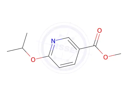 Chemical structure of Methyl 6-isopropoxynicotinate