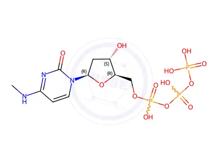 Chemical structure of N(4)-methyl-2'-deoxycytidine 5'-triphosphate