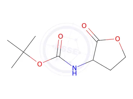 Chemical structure of TERT-BUTYL (TETRAHYDRO-2-OXO-3-FURANYL)CARBAMATE