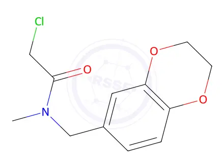Chemical structure of 2-Chloro-N-(2,3-dihydrobenzo[1,4]dioxin-6-ylmethyl)-N-methylacetamide