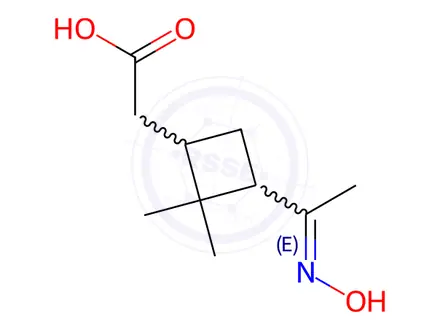 Chemical structure of 2-[3-[(E)-N-hydroxy-C-methylcarbonimidoyl]-2,2-dimethylcyclobutyl]acetic acid
