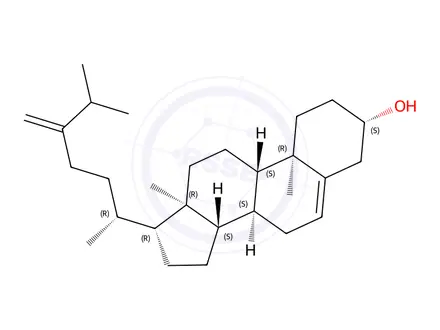 Chemical structure of 24-Methylenecholesterol