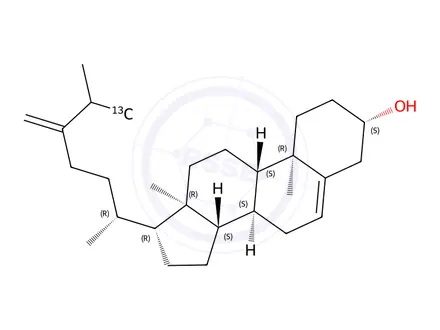 Chemical structure of 24-Methylenecholesterol-13C
