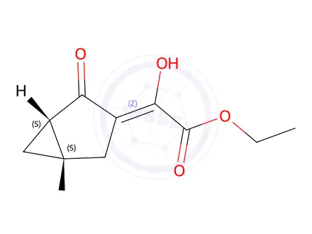 Chemical structure of Ethyl (Z)-2-hydroxy-2-((1S,5S)-2-oxobicyclo[3.1.0]Hexan-3-ylidene)acetate