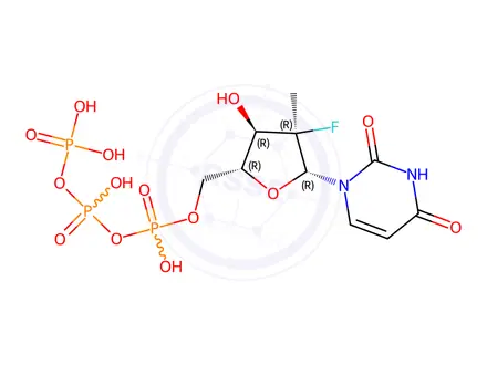 Chemical structure of (((2R,3R,4R,5R)-5-(2,4-dioxo-3,4-dihydropyrimidin-1(2H)-yl)-4-fluoro-3-hydroxy-4-methyltetrahydrofuran-2-yl)methyl)triphosphoric acid