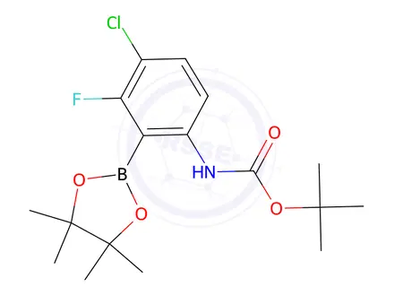 Chemical structure of tert-Butyl (4-chloro-3-fluoro-2-(4,4,5,5-tetramethyl-1,3,2-dioxaborolan-2-yl)phenyl)carbamate