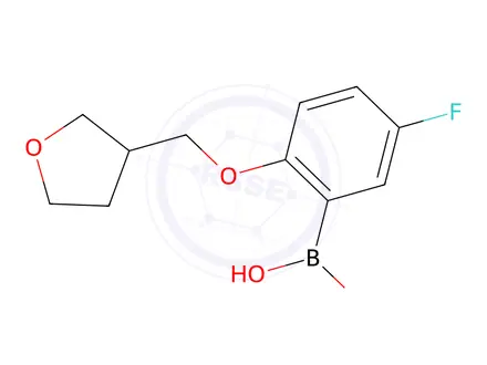 Chemical structure of [5-fluoro-2-(oxolan-3-ylmethoxy)phenyl]boronic acid