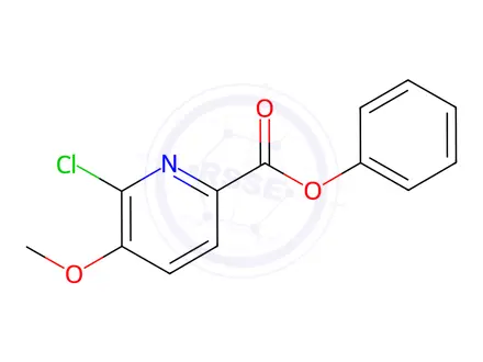 Chemical structure of Phenyl 6-chloro-5-methoxypicolinate