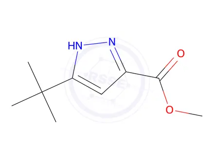 Chemical structure of methyl 3-tert-butyl-1H-pyrazole-5-carboxylate