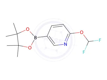 Chemical structure of 2-(difluoromethoxy)-5-(4,4,5,5-tetramethyl-1,3,2-dioxaborolan-2-yl)pyridine