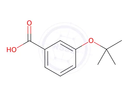 Chemical structure of 3-tert-Butoxybenzoic Acid