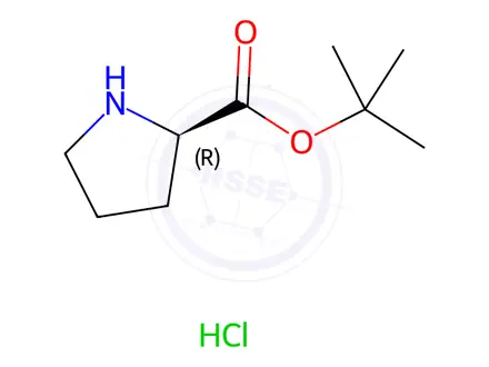 Chemical structure of (R)-Tert-Butyl pyrrolidine-2-carboxylate hydrochloride