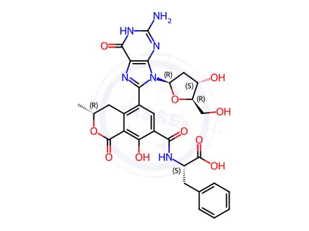 Chemical structure of N-[[(3R)-5-[2-Amino-9-(2-deoxy-β-D-erythro-pentofuranosyl)-6,9-dihydro-6-oxo-1H-purin-8-yl]-3,4-dihydro-8-hydroxy-3-methyl-1-oxo-1H-2-benzopyran-7-yl]carbonyl]-L-phenylalanine