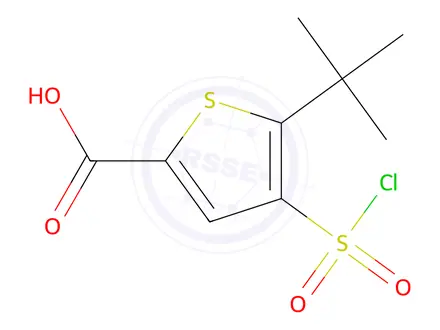 Chemical structure of 5-tert-Butyl-4-(chlorosulfonyl)thiophene-2-carboxylic Acid