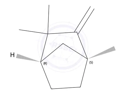 Chemical structure of (1S,4R)-1,3,3-Trimethyl-2-methylenebicyclo[2.2.1]heptane