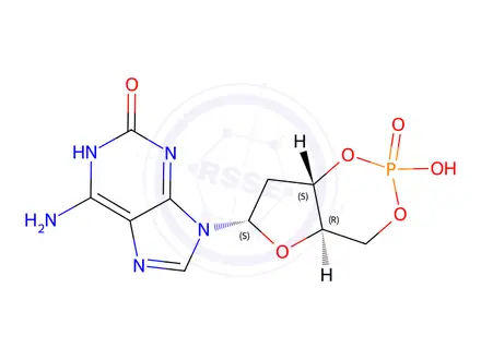 Chemical structure of 2'-deoxy cyclic GMP