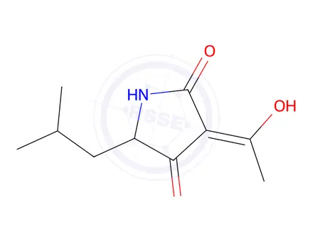 Chemical structure of 3-(1-Hydroxyethylidene)-5-isobutylpyrrolidine-2,4-dione