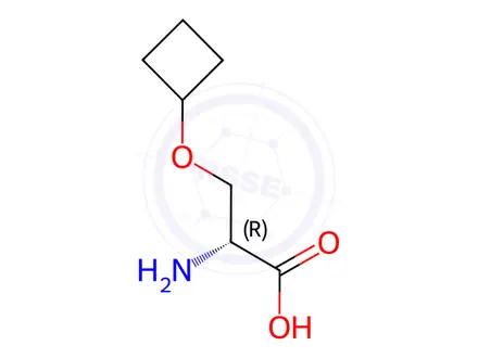 Chemical structure of O-cyclobutyl-D-serine
