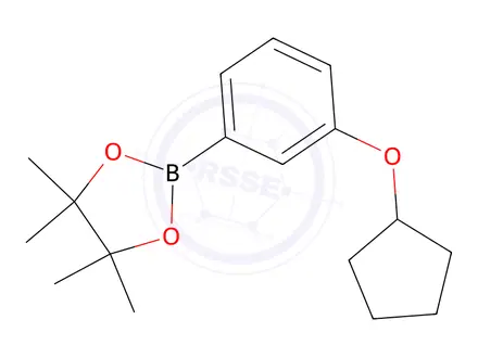 Chemical structure of 2-(3-Cyclopentyloxy-phenyl)-4,4,5,5-tetraMethyl-[1,3,2]dioxaborolane