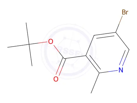 Chemical structure of tert-Butyl 5-bromo-2-methylnicotinate
