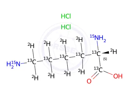 Chemical structure of L-Lysine Dihydrochloride 13C6, D9, 15N2