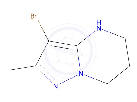Chemical structure of 3-bromo-2-methyl-4,5,6,7-tetrahydropyrazolo[1,5-a]pyrimidine