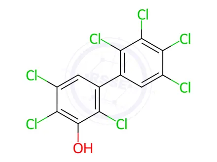 Chemical structure of 3'-Hydroxy-2,2',3,4,4',5,5'-heptachlorobiphenyl