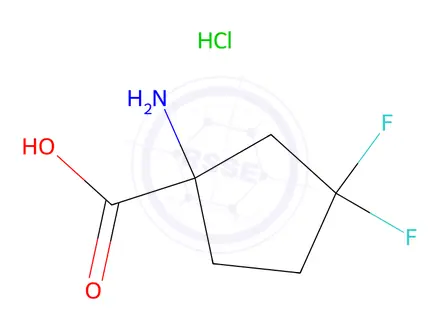 Chemical structure of 1-Amino-3,3-difluorocyclopentane-1-carboxylic acid hydrochloride