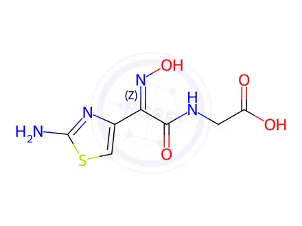 Chemical structure of Thiazolylacetylglycine Oxime