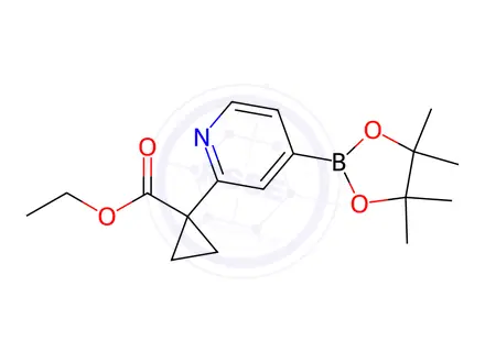 Chemical structure of ethyl 1-(4-(4,4,5,5-tetramethyl-1,3,2-dioxaborolan-2-yl)pyridin-2-yl)cyclopropane-1-carboxylate