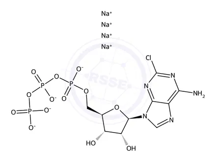 Chemical structure of Adenosine 5'-(tetrahydrogen triphosphate), 2-chloro-, sodium salt (1:4)