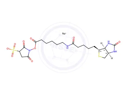Chemical structure of Biotin Impurity 73