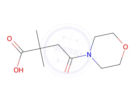 Chemical structure of 2,2-Dimethyl-4-morpholin-4-yl-4-oxobutyric acid