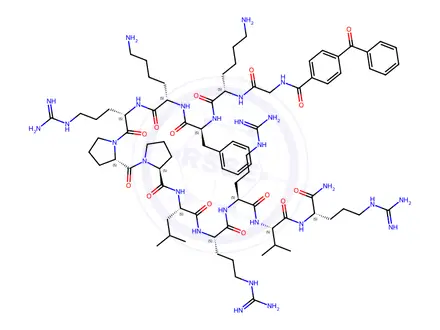 Chemical structure of benzoylbenzoyl-troponin I inhibitory peptide (104-115)
