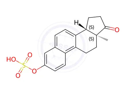 Chemical structure of (13S,14S)-13-methyl-17-oxo-12,13,14,15,16,17-hexahydro-11H-cyclopenta[a]phenanthren-3-yl hydrogen sulfate