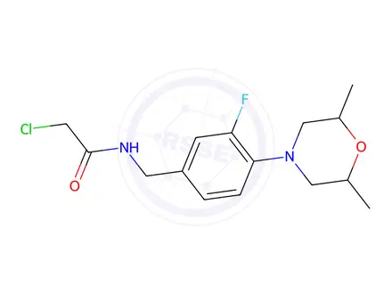 Chemical structure of 2-chloro-N-{[4-(2,6-dimethylmorpholin-4-yl)-3-fluorophenyl]methyl}acetamide