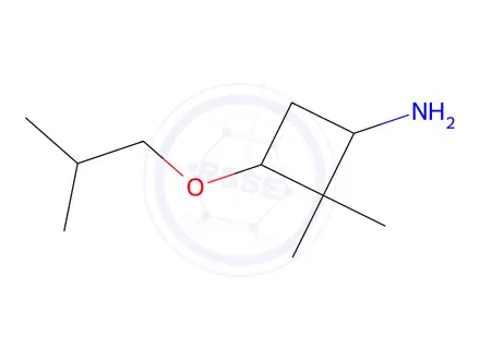 Chemical structure of 2,2-dimethyl-3-(2-methylpropoxy)cyclobutan-1-amine