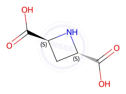 Chemical structure of (2S,4S)-(-)-Azetidine-2,4-dicarboxylic Acid