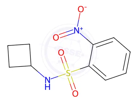 Chemical structure of N-Cyclobutyl-2-nitrobenzenesulfonamide